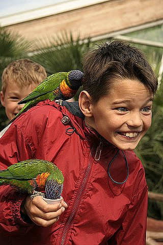 2005 Avifauna (38)
